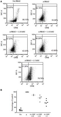 Mesenchymal Stromal Cell-Derived Exosomes Affect mRNA Expression and Function of B-Lymphocytes